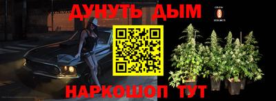 винт Славгород